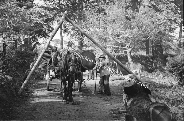 LOADING LOGS ONTO HORSE AND CART